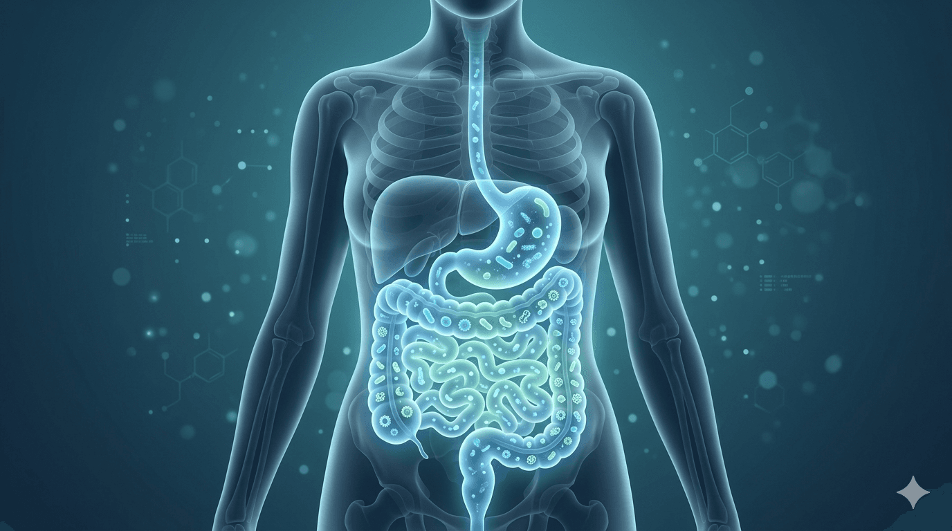 Gut-Microbiome Link