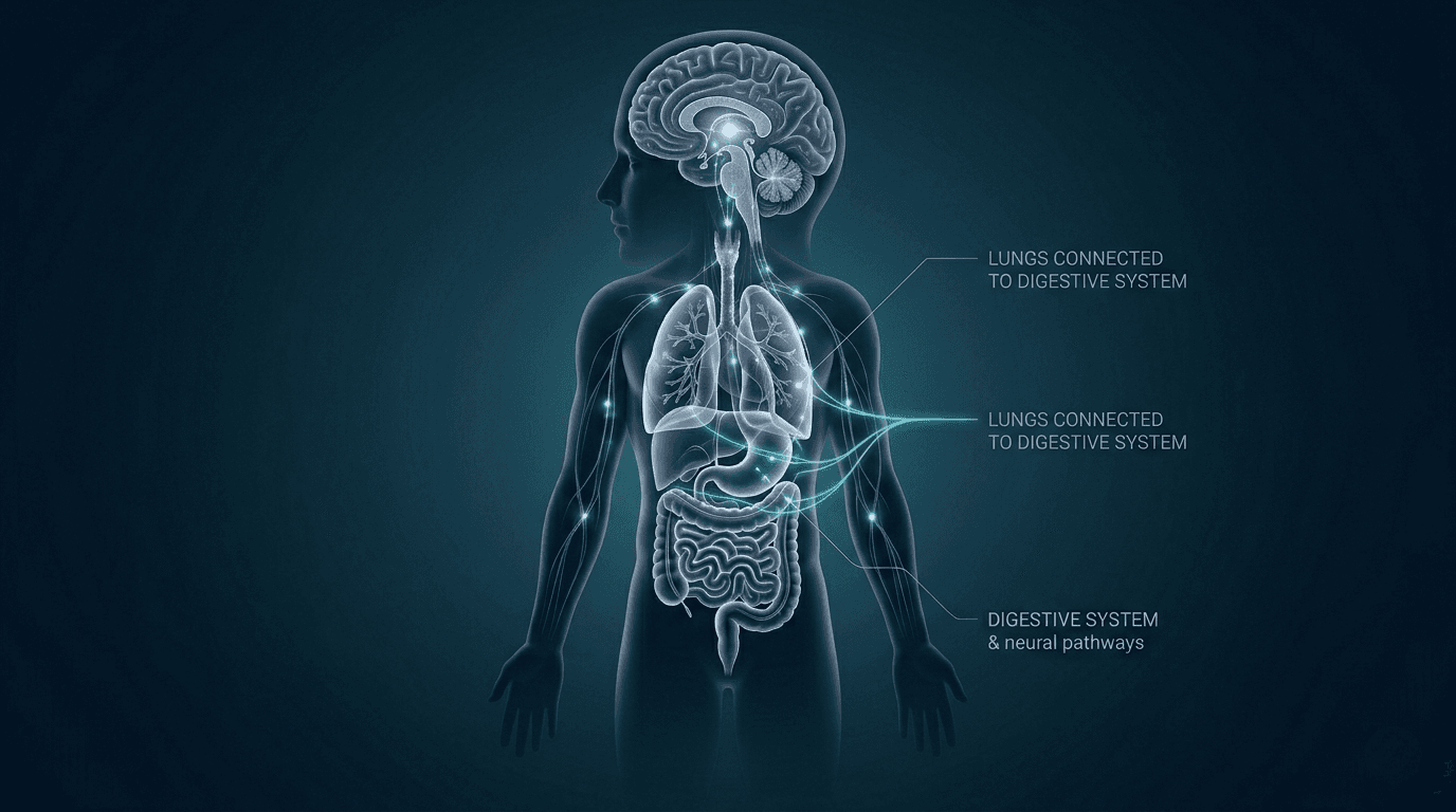 Gut-Lung Axis